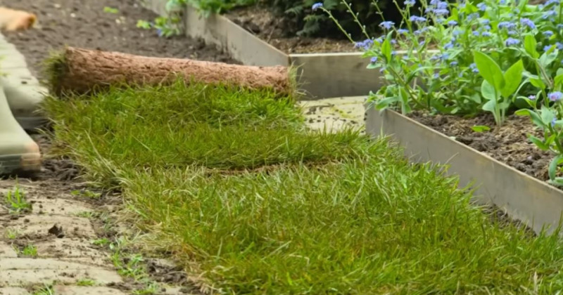 Graszoden leggen - Hoe en wanneer
